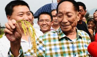 倾尽一城花只为奠一人 倾尽一城花只为奠一人